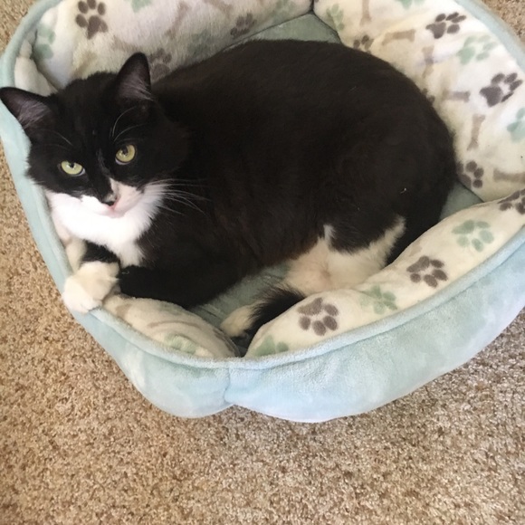 Posh Ambassador. - Picture 9 of 12